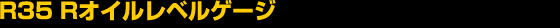 R35 R�I�C�����x���Q�[�W